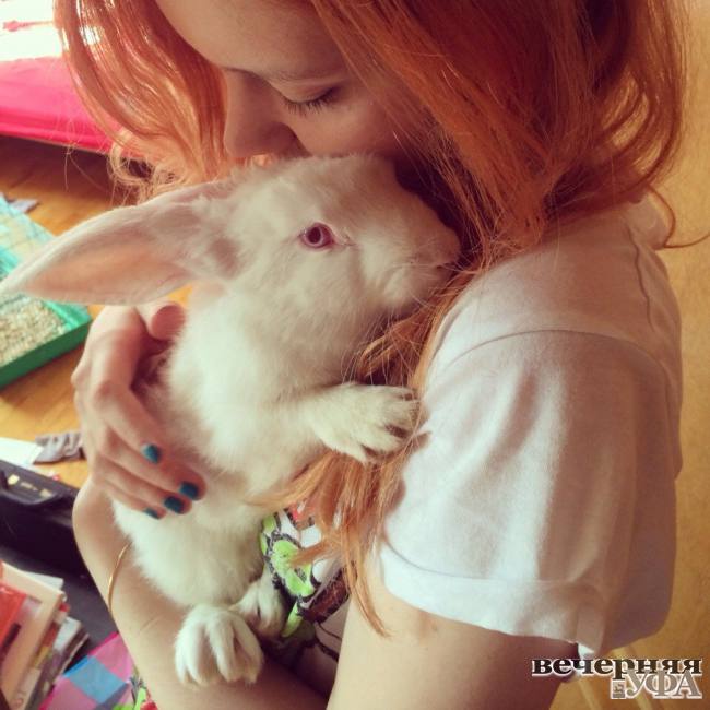  Алиса и её белый кролик