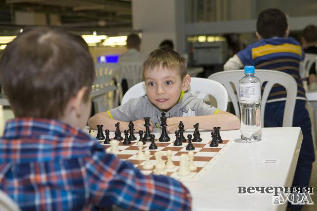 Какое будущее ждёт шахматы в республике?