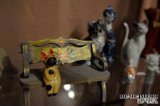 Музей Аксакова на время превратился в... Кошкин дом