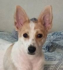 Помогите найти!