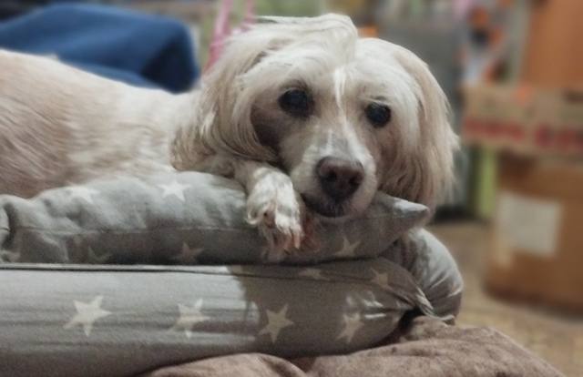 Но ведь и вы  станете старым…